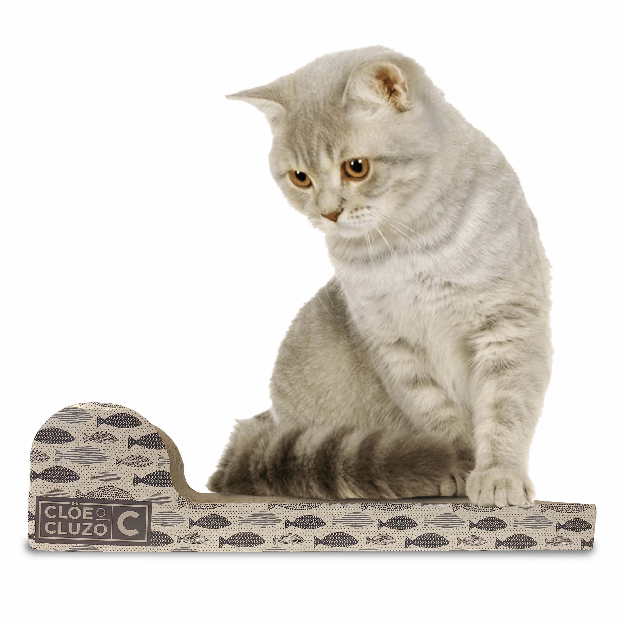 GRIFFOIR POUR CHAT POISSONS NAGEANTS  gallery