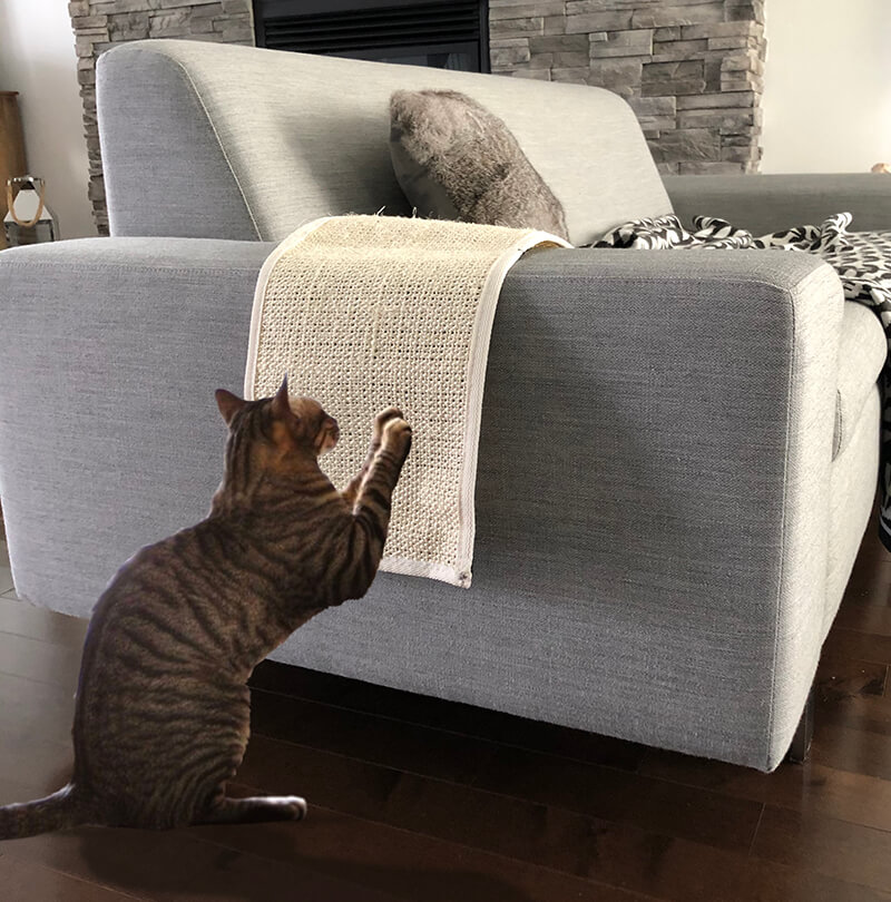 TAPIS À GRIFFOIRE AVEC VELCRO gallery
