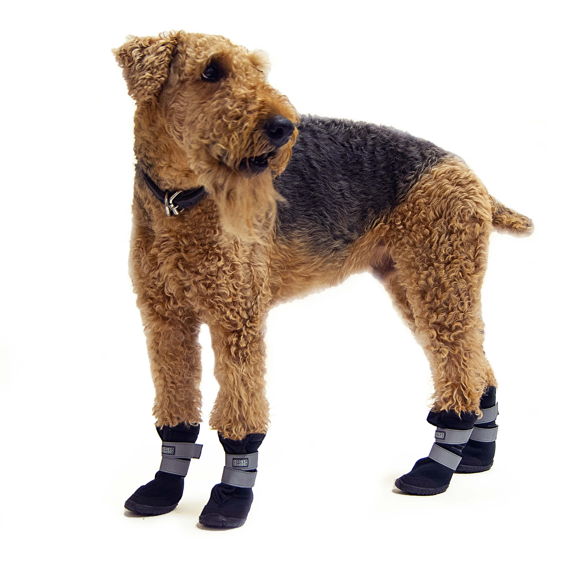 BOTTES TOUT TERRAIN gallery