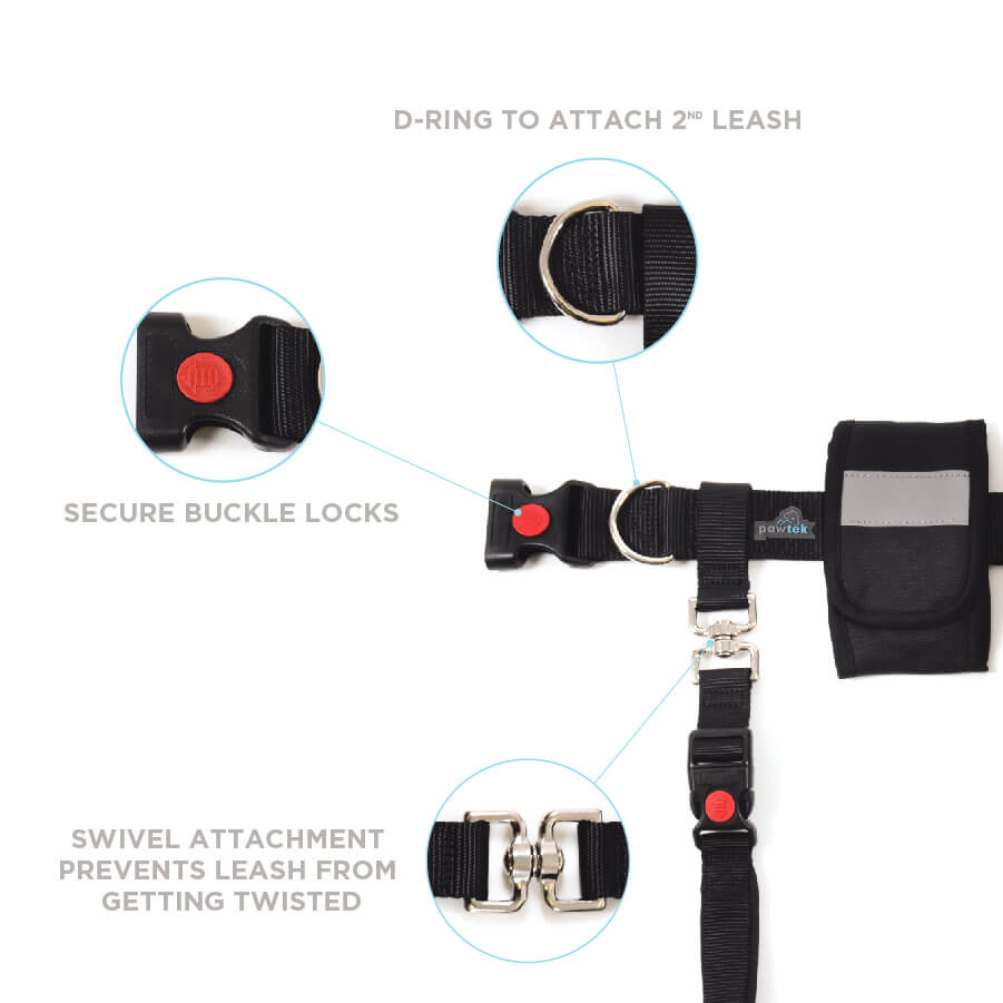 CEINTURE & LAISSE BUNGEE gallery