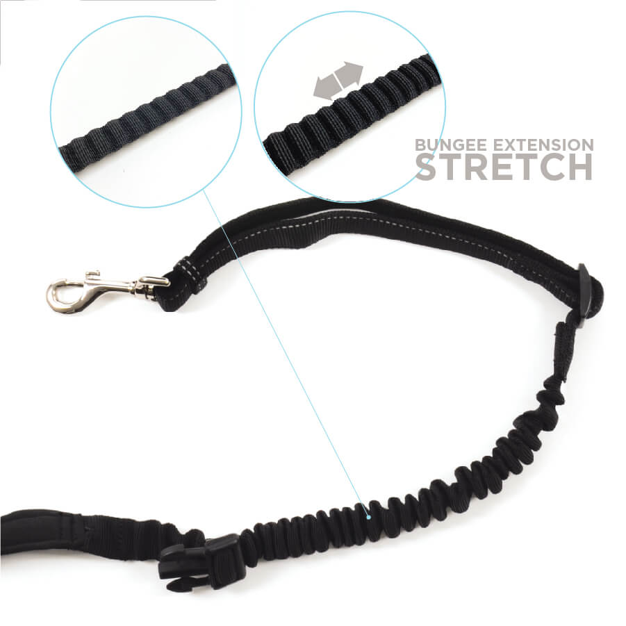 CEINTURE & LAISSE BUNGEE gallery