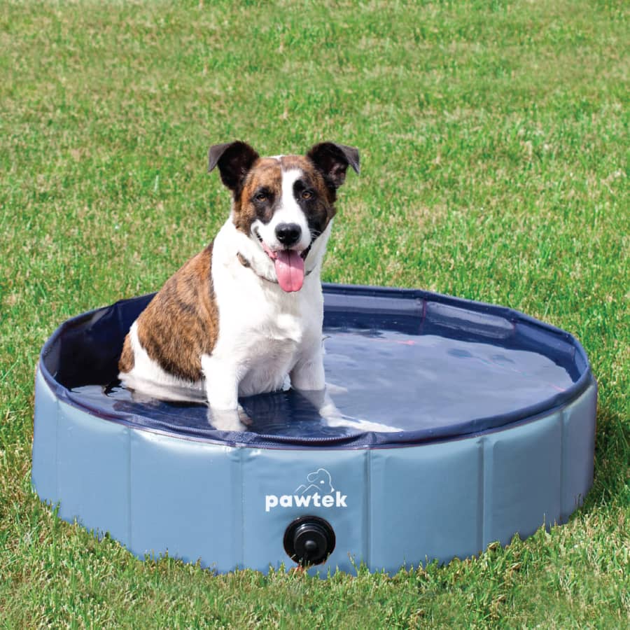 PISCINE PORTABLE ET PLIABLE POUR ANIMAUX DE COMPAGNIE gallery