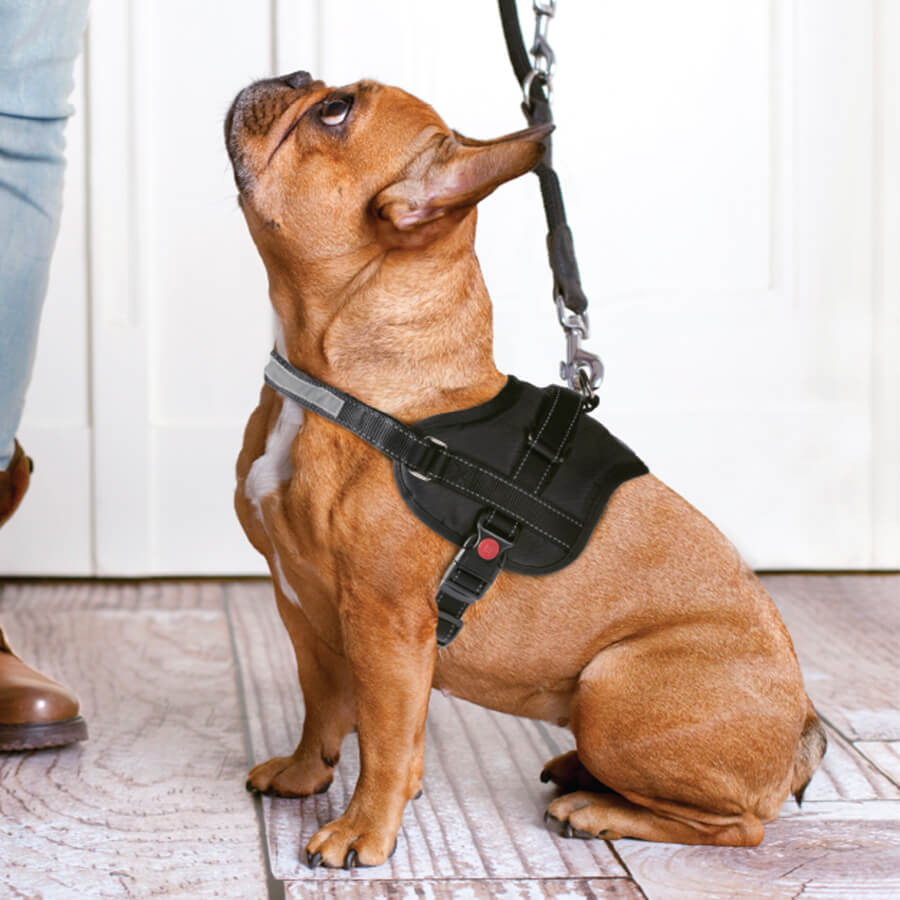 HARNAIS ROBUSTE POUR CHIEN gallery