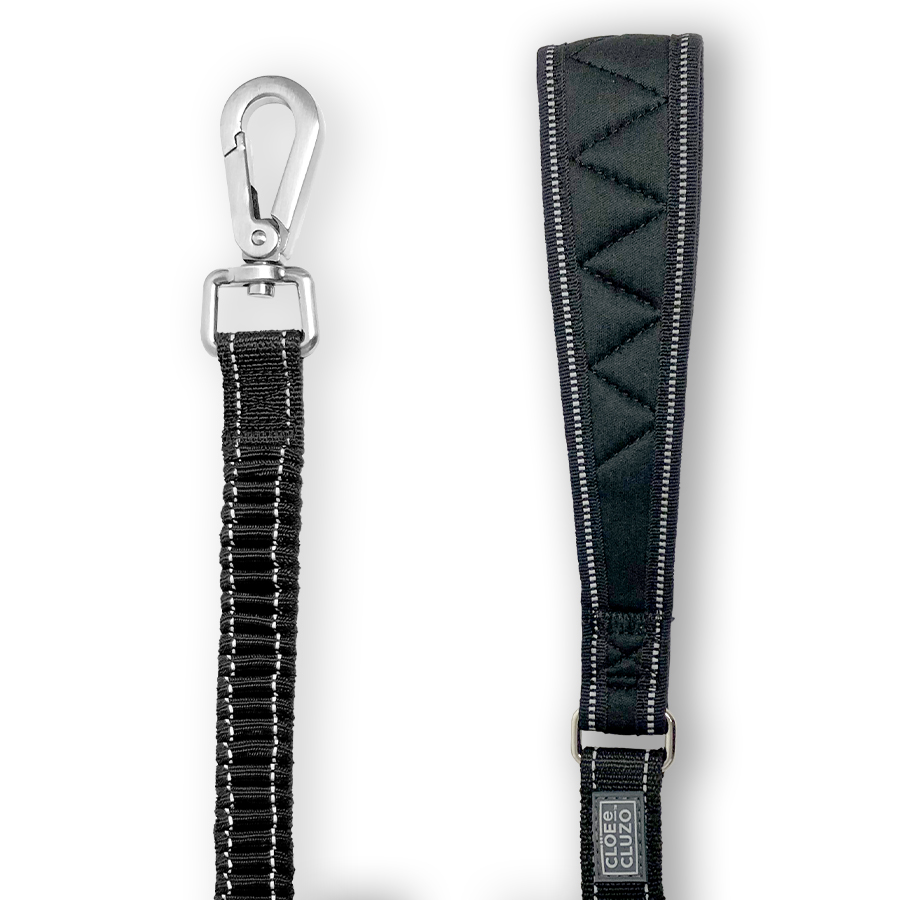 LAISSE BUNGEE POUR CHIENS gallery