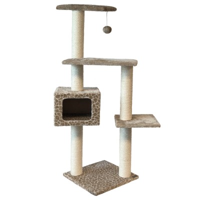 Cat Tower Casablanca