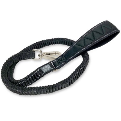 Bungee Dog Leash