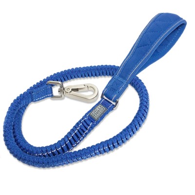 Bungee Dog Leash