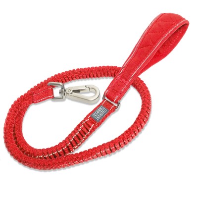 Bungee Dog Leash
