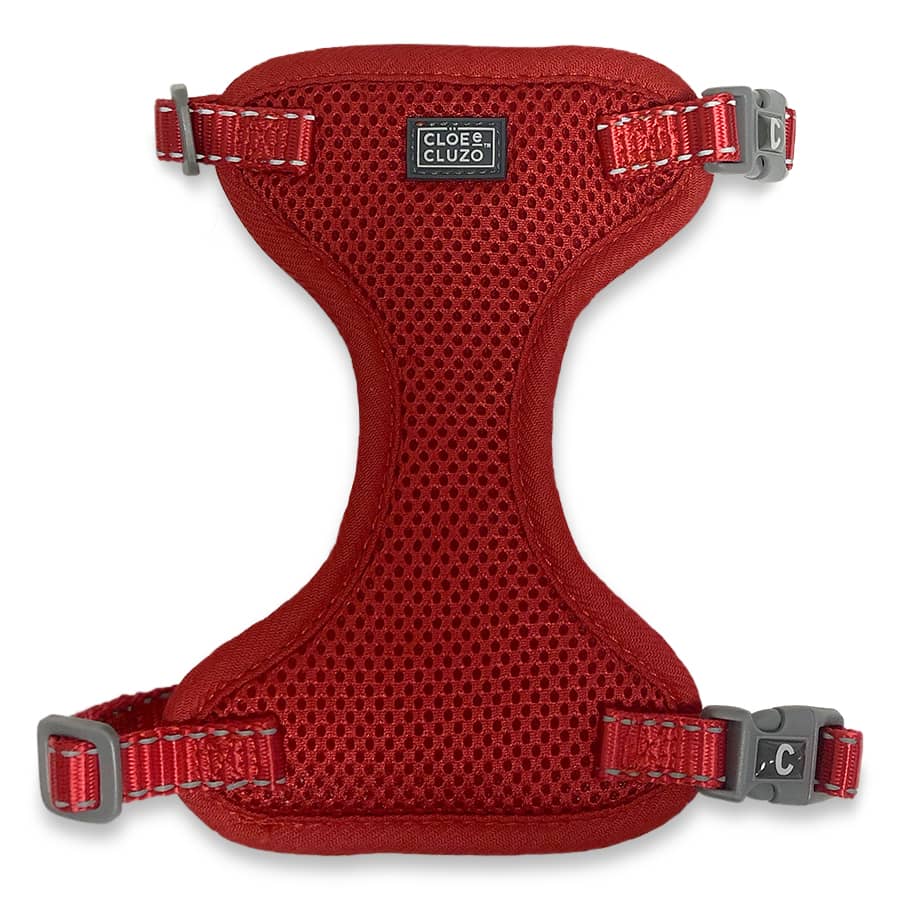 Cat Mesh Harness