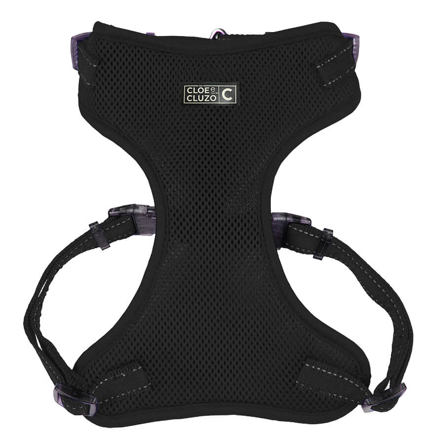 Mesh Harness