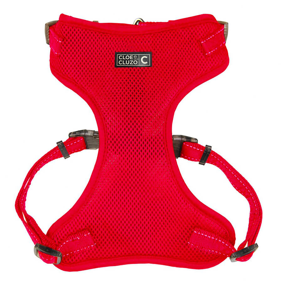 Mesh Harness