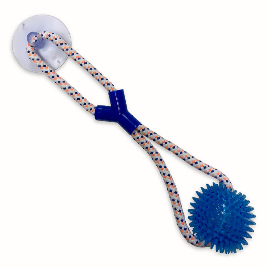 Interactive Dog Ball with Suction Cup