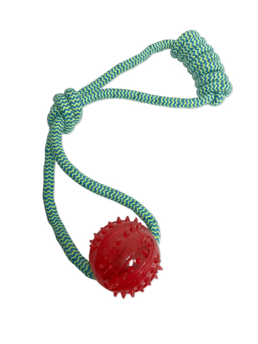 Dental Toy with Knotted Pulling Rope and Ball