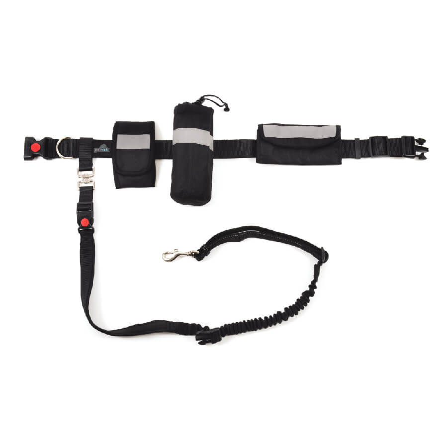 Waistbelt & Bungee Leash